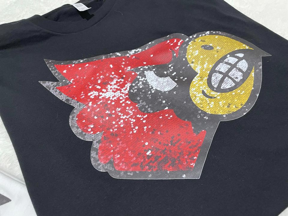Faux sequin cardinals crop top