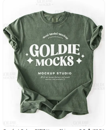 Noel faux embroidery 💚🎄- T SHIRT - (color comfort / bella)