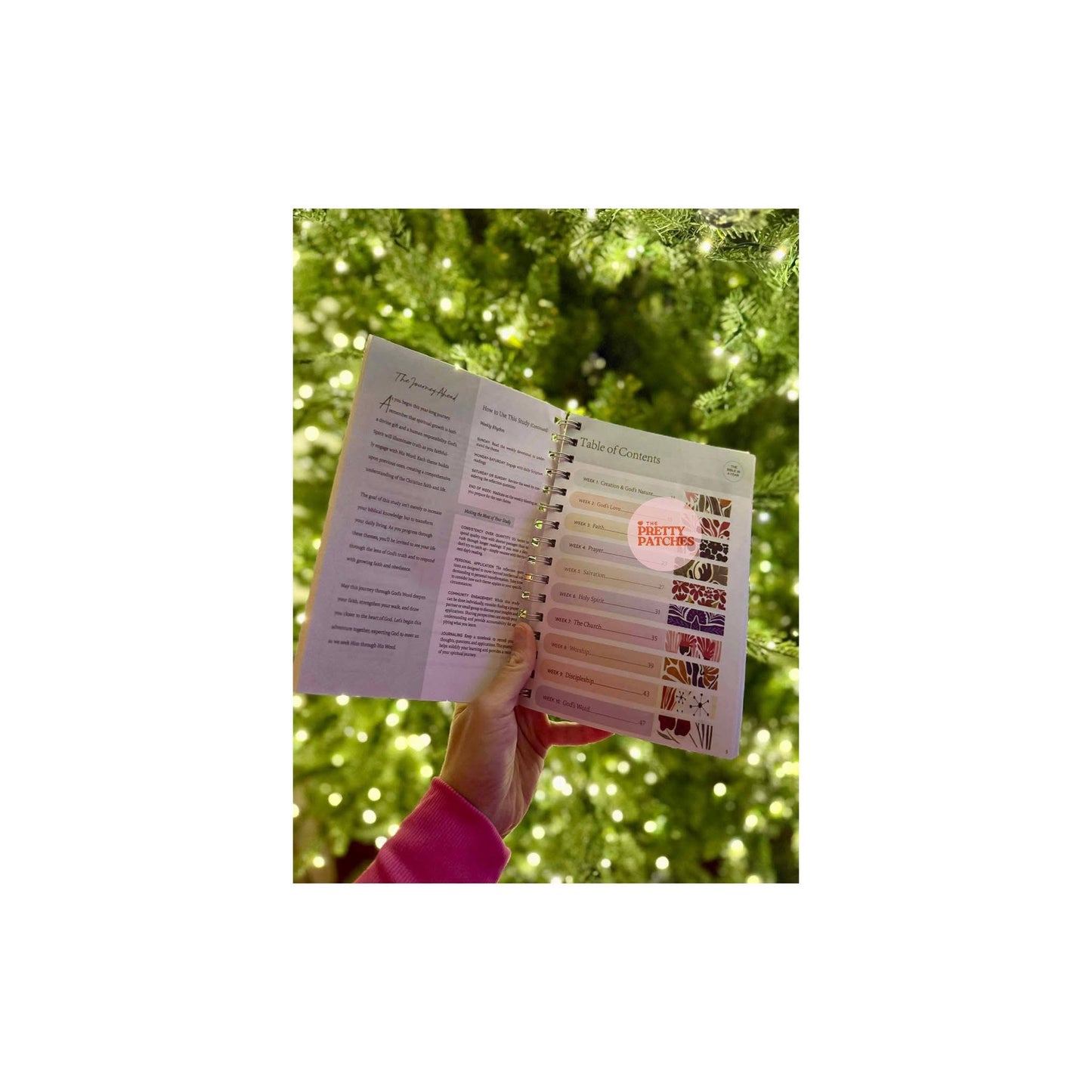 A Year in the Bible