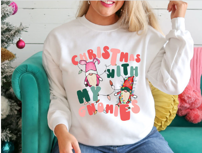 Christ mas with my gnomies