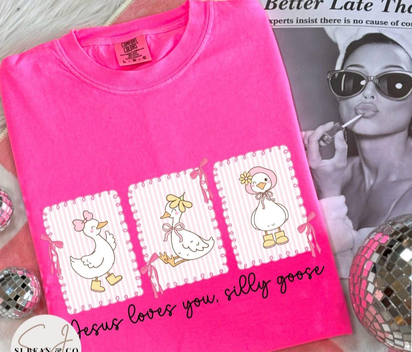 Jesus Loves You, Silly Goose - T SHIRT - (Jerzee/Gildan)