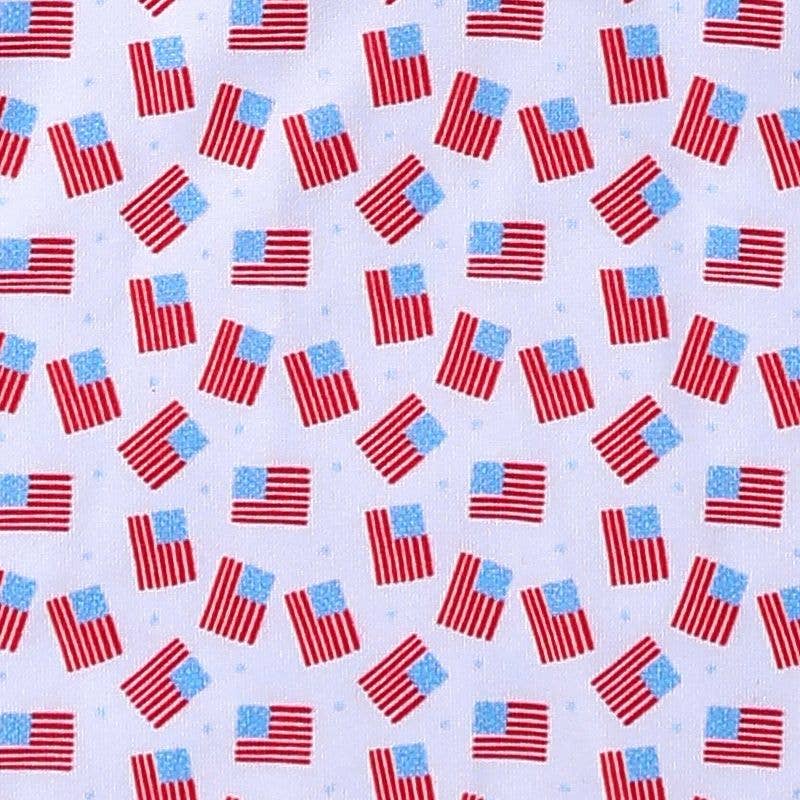 American Flag Boy Collar Shirt - AFS10