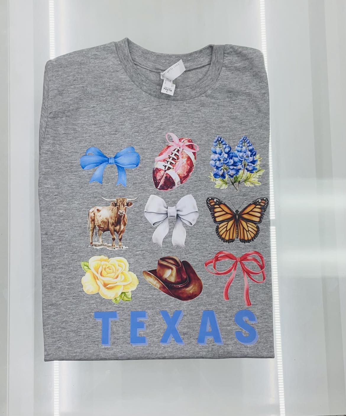 Texas and Blue bonnets t-shirt