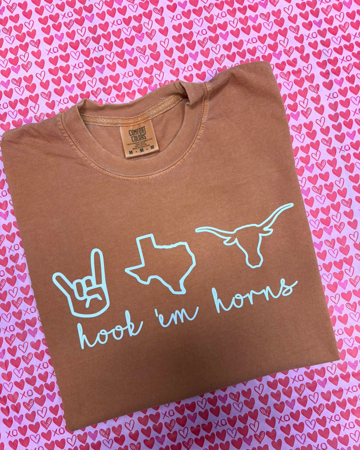 Hook 'em Horns - SWEATSHIRT - (Jerzee)