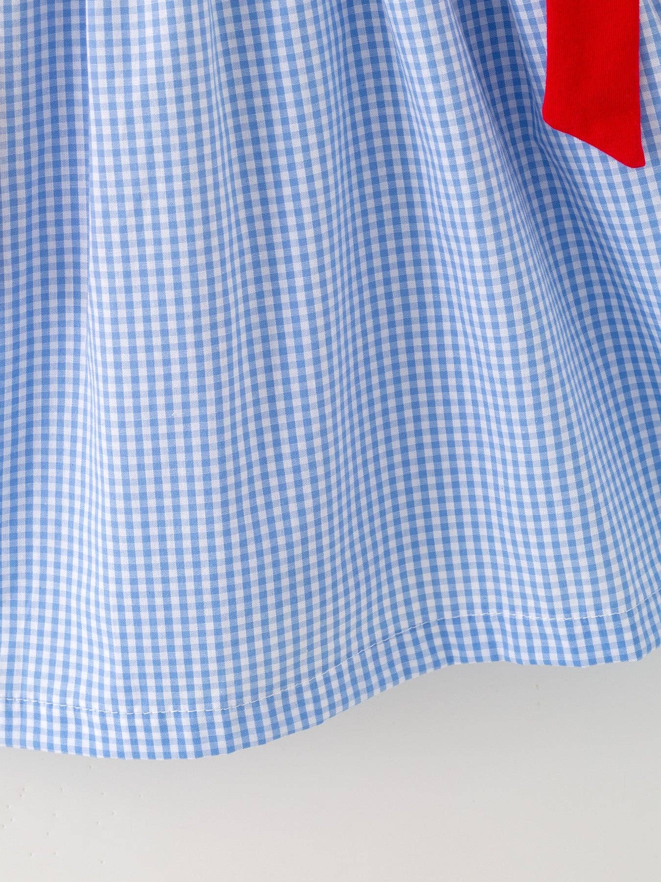Toddler Girls Blue Plaid Baseball Smocked Dress 011226AJ