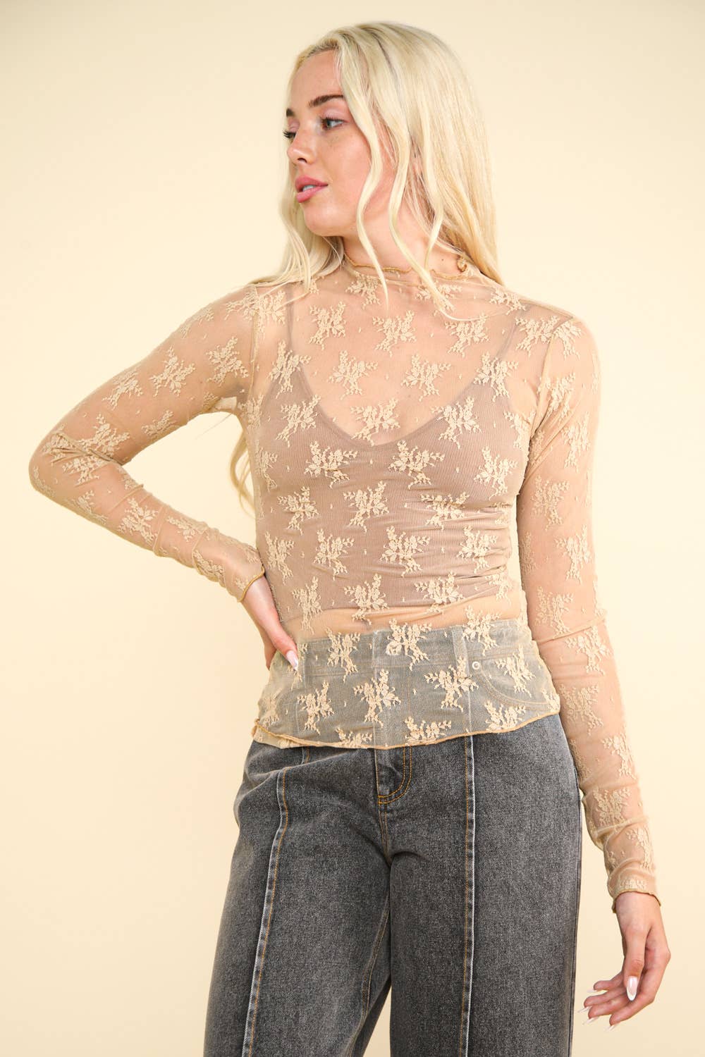 High Neck Fitted Sheer Mesh Lace Knit Top 11909