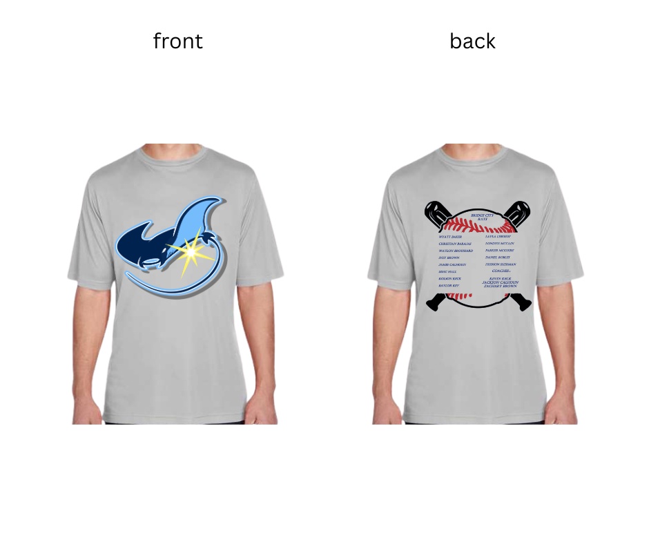 STING RAYS TEEBALL - TEAM365 DRIFIT TSHIRT- SPORT SILVER (FRONT AND BACK IMAGES)