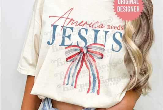 America Needs Jesus - T SHIRT - (Comfort Color)