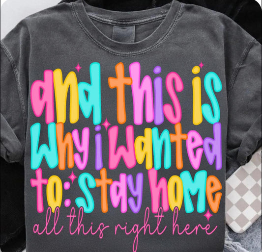 And this is why I wanted to stay home - T SHIRT- (Comfort Color)