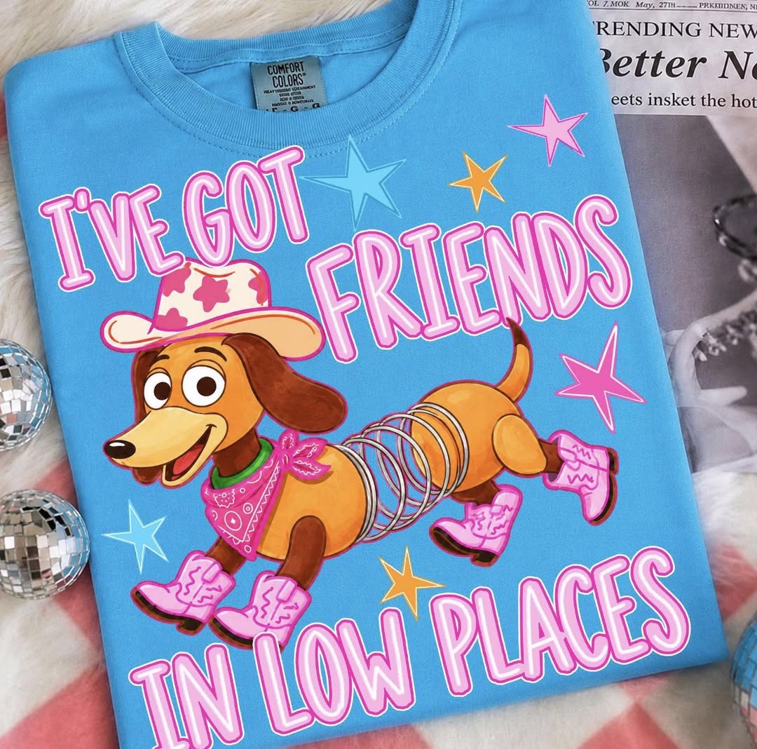 I’ve Got Friends in Low Places 💙- T SHIRT - (GILDAN) 061726lw