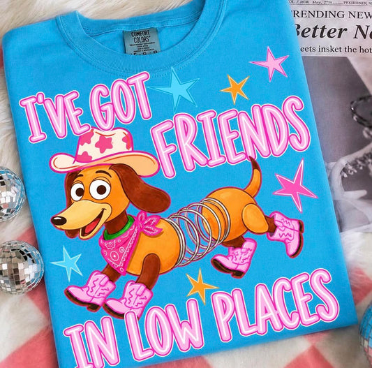 I’ve Got Friends in Low Places 💙- LONG SLEEVE  - (COMFORT COLOR/BELLA) 061726lw