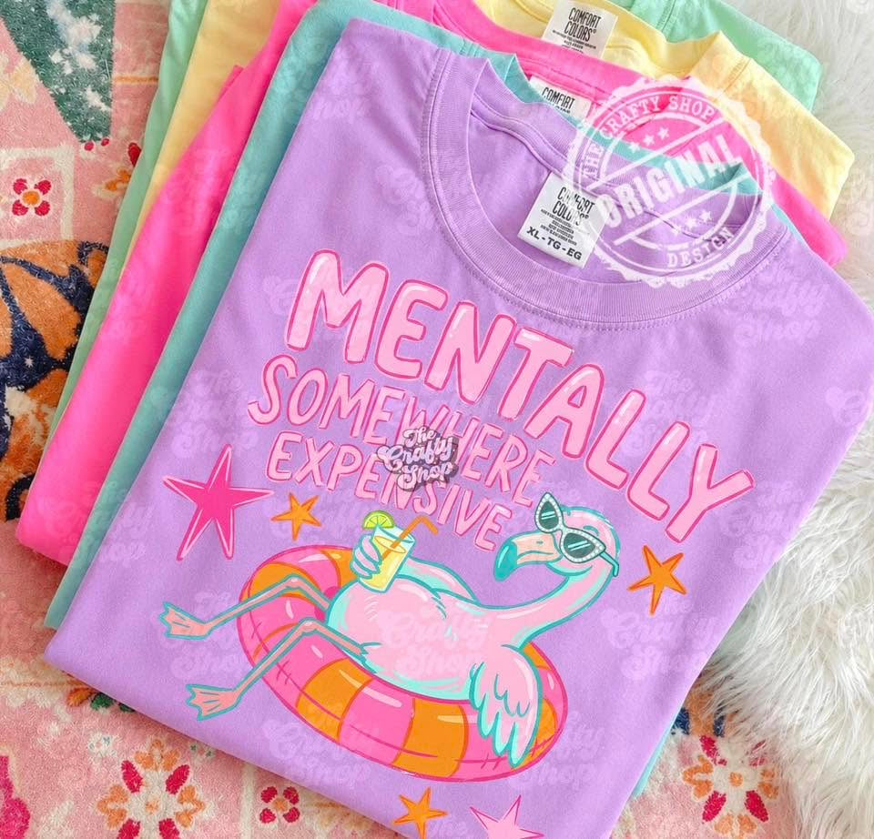 Mentally Somewhere Expensive - T-SHIRT - (GILDAN) 070129lw