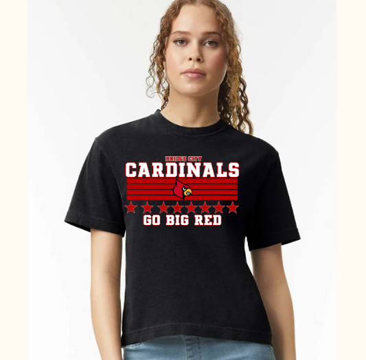 CARDINALS go big red- BOXY TEE - (COMFORT COLOR) 052626jb