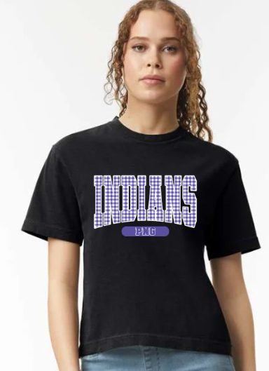 PNG INDIANDS GINGHAM - BOXY TEE - (COMFORT COLOR)060226JB