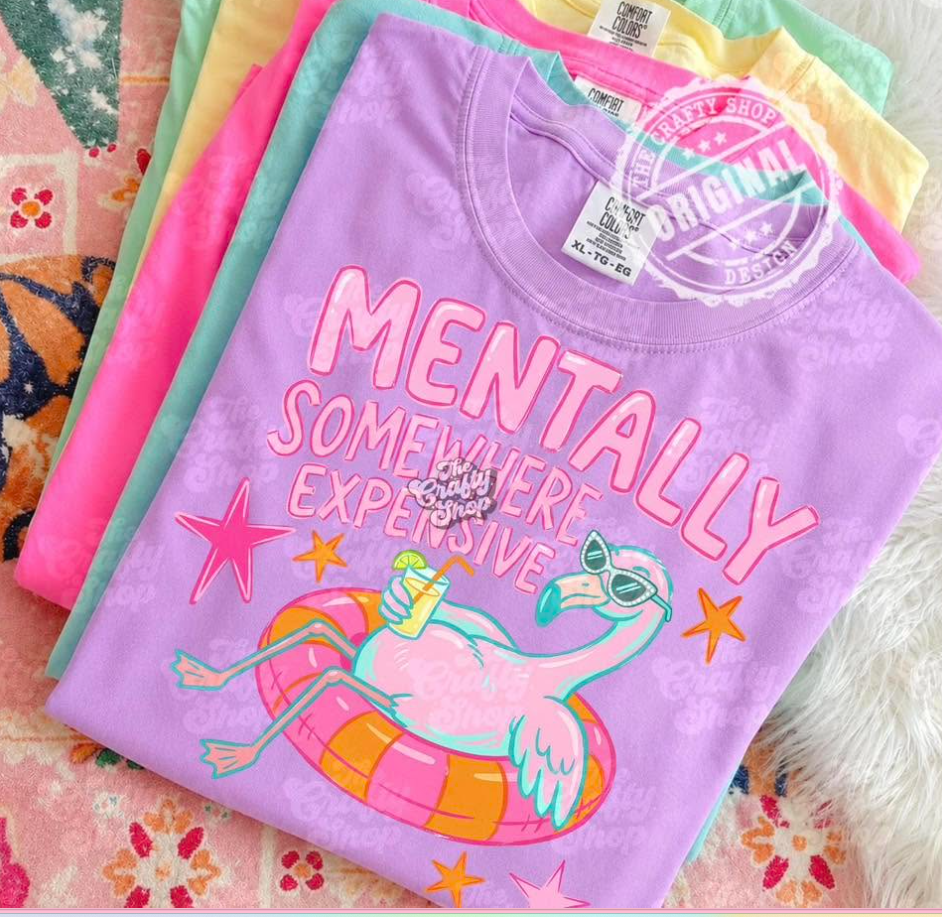 Mentally somewhere expensive - T-SHIRT - (GILDAN) 070326MG