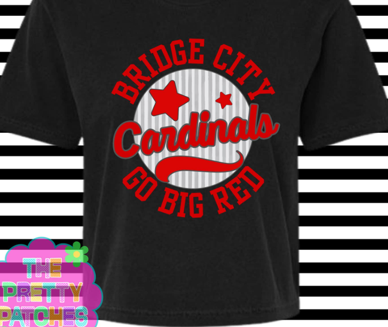 STRIPED CIRCLE BRIDGE CITY 924261----T SHIRT------ (GILDAN) 092426RW