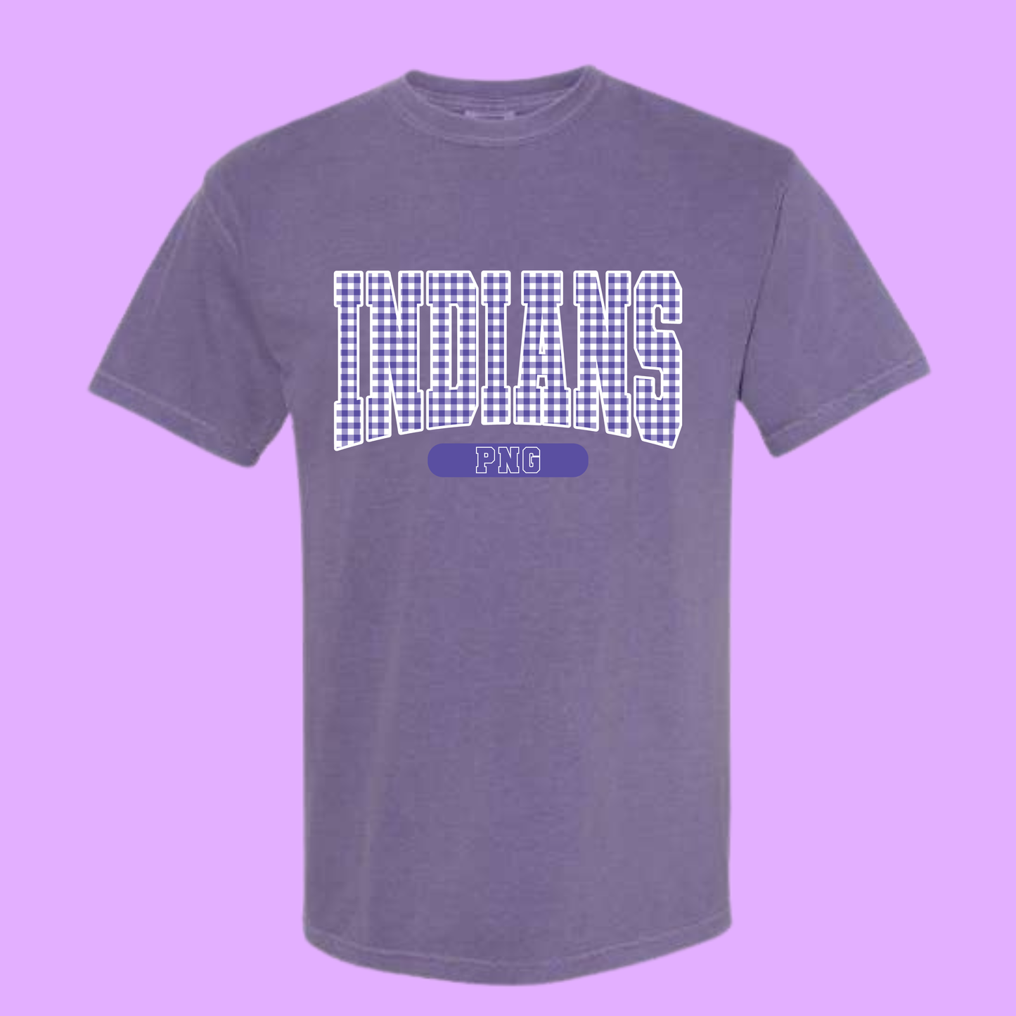 GINGHAM PNG INDIANS  - T SHIRT- (Comfort Color/Bella)-061026LW